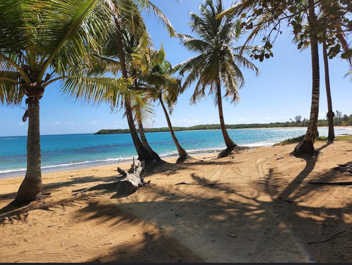 Bee Inn Puerto Rico Charming Urban Apartment In San Juan Zewnętrze zdjęcie