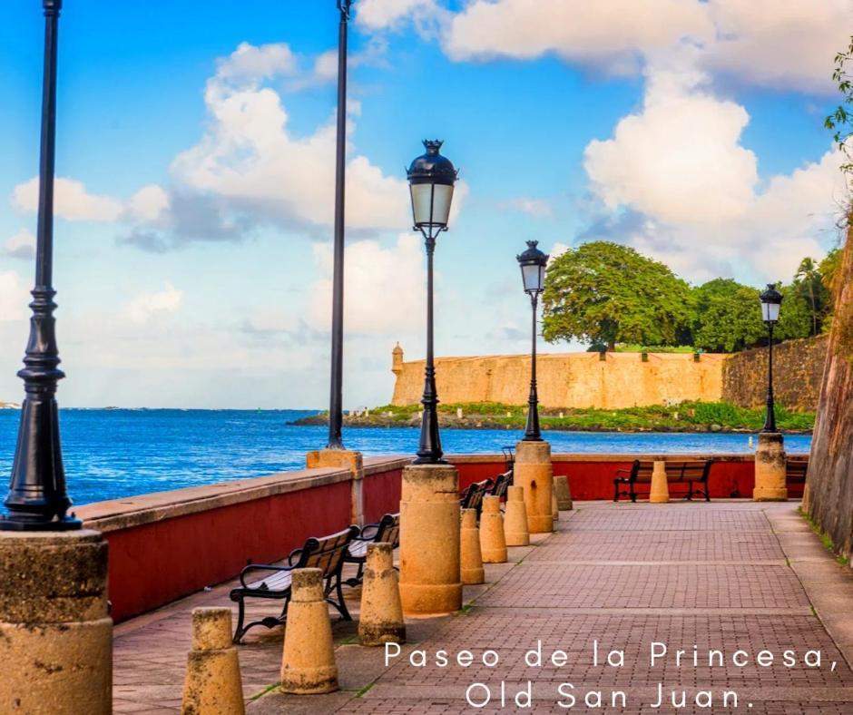 Bee Inn Puerto Rico Charming Urban Apartment In San Juan Zewnętrze zdjęcie